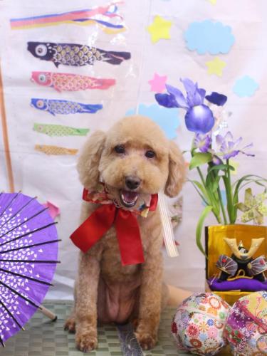 20240518COCOちゃん